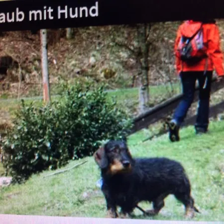 Fewo Claudia Lägenhet Braunlage
